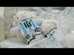 Pelúcias de Messi como 'GOAT' fazem sucesso entre torcedores na China | AFP