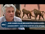 NÜRNBERG: 12 Paviane ermordet! So rechtfertigt die Zoo-Leitung die Affen-Tötung | Pressekonferenz