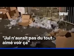 Une association alerte sur la quantité de déchets abandonnés après un concert de Jul