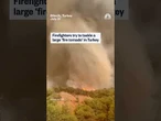 Firefighters battle large 'fire tornado' in Turkey