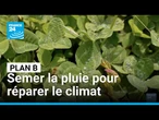 Cycle de l’eau : semer la pluie pour réparer le climat • FRANCE 24