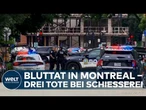 KANADA: Rätsel nach Bluttat! Polizist unter drei Toten! Täter soll Incel-Anhänger gewesen sein