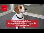 WM-Waurakel sagt voraus: Deutschland verliert gegen die Elfenbeinküste!
