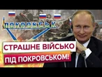 ЕЛІТНІ МОРПІХИ РФ під Покровськом! Росіяни готують масштабний наступ на МІСТО! СИТУАЦІЯ КРИТИЧНА?