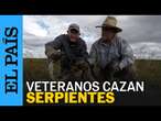 EE UU | Veteranos militares capturan serpientes invasoras en Florida | EL PAÍS