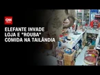 Elefante invade loja e "rouba" comida na Tailândia | CNN BRASIL