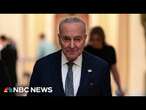 Schumer faces growing pressure as Democrats chart path to take on Trump