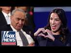 SCHUMER SWEATING?: AOC seen as true leader of Democratic Party in poll