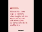 A Cisterna di Latina punto da un insetto, si accascia e muore