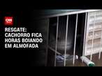 Resgate: Cachorro fica horas boiando em almofada | LIVE CNN