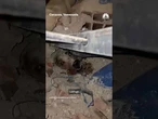 Firefighters pull dog from rubble of Venezuela earthquakes