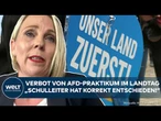 DEUTSCHLAND: Schulleiter verbietet Praktikum bei der AfD in Brandenburg! Nun hagelt es Kritik