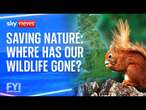 FYI: Saving Nature: Where Has Our Wildlife Gone?