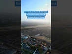 Derrubada da Floresta do Aeroporto de Fortaleza ocorreu antes do fim da avaliação do Ibama #shorts