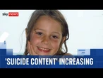 TikTok and Instagram accused of targeting teens with suicide and self-harm content