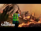 Firefighters tackle wildfires in Portugal