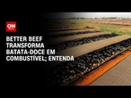 Better Beef transforma batata-doce em combustível, ração e carne premium | CNN AGRO NEWS