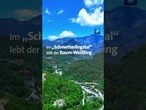 Das Schmetterlingstal in China #Jianchuan #nachrichten #tagesschau