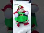 Guinea pig dons Christmas elf outfit