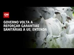 Brasil reforça garantias sanitárias sobre uso de antimicrobianos à União Europeia | CNN AGRO NEWS