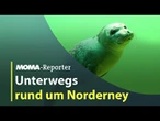 Unterwegs rund um Norderney | ARD Morgenmagazin