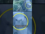 Video captures the moment a teen fell from a Disneyland ride