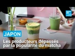 "Nous n'arrivons plus à suivre" : les producteurs dépassés par la popularité du matcha