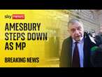 Disgraced former Labour MP Mike Amesbury steps down - triggering by-election