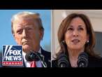 Trump, Harris fight for battleground states will come down to who can 'run up the margins'