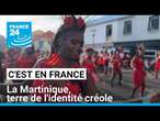 En Martinique, le créole brasse les cultures et les identités • FRANCE 24