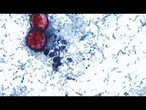 Cases of illness that causes explosive diarrhea on the rise across the U.S.