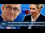 FLEISCHHAUER: AfD? Grüne überraschen! "Die Brandmauer ist damit auch erst mal kurzfristig gefallen!"