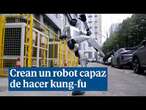 G1, el robot humanoide capaz de hacer kung-fu como un auténtico experto en artes marciales