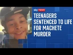Kelyan Bokassa: Teenagers who 'smiled' as they murdered schoolboy sentenced to life