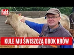 STRZELNICA we wsi DRAMATEM MIESZKAŃCÓW. "Bractwo Kurkowe urządziło sobie strzelnicę" | FAKT