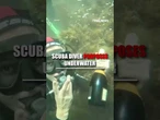 WATCH: A diver popped the question underwater in a breathtaking scuba proposal #shorts #viral #usa