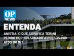 Anistia: o que significa termo pedido por Bolsonaro a presos por atos do 8/1 | O POVO News