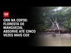Floresta de manguezal absorve até cinco vezes mais Co2 | CNN NOVO DIA