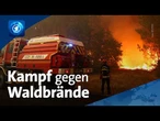 tagesschau24 Top-Thema, 23.7.2026 | Waldbrände in Südeuropa