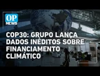 COP30: GIFE lança dados inéditos sobre financiamento climático no Brasil | O POVO NEWS