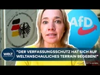 MEINUNG: Schröder kritisiert Verfassungsschutz! "Nicht über jeden Zweifel erhaben!" AfD-Gutachten