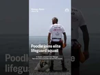 Poodle joins elite lifeguard squad