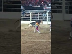 Fotógrafo é atingido por touro considerado o mais valioso do Brasil e vídeo viraliza; assista