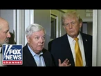 Trump backs Lindsey Graham's sister for senate seat
