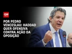 Análise: Haddad quer ofensiva contra ação da oposição | CNN 360°