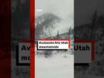 Avalanche hits Utah mountainside during winter storm. #Avalanche #US #Shorts #BBCNews