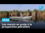 Irak : les habitants des marais de Mésopotamie redoutent la prospection pétrolière • FRANCE 24