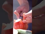 SÖDER BEIM POLITIKER GRILLEN BEI WELT: "Ist das Gemüse gewaschen? Mit Berliner Wasser?" #shorts