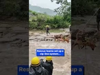 Owner and dog trapped in raging flood rescued by zip line