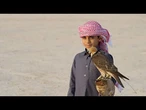 Fauconnerie, geeks et barbecue coréen : le meilleur du paysage culturel du Qatar en 2023
